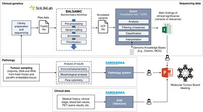 Data-driven support to decision-making in molecular tumour boards for lymphoma: A design science approach